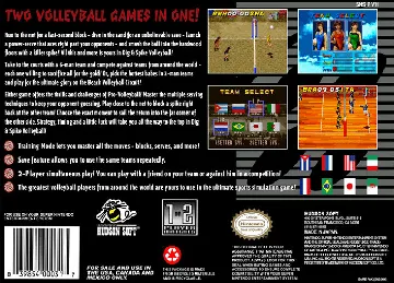 Dig & Spike Volleyball (USA) box cover back